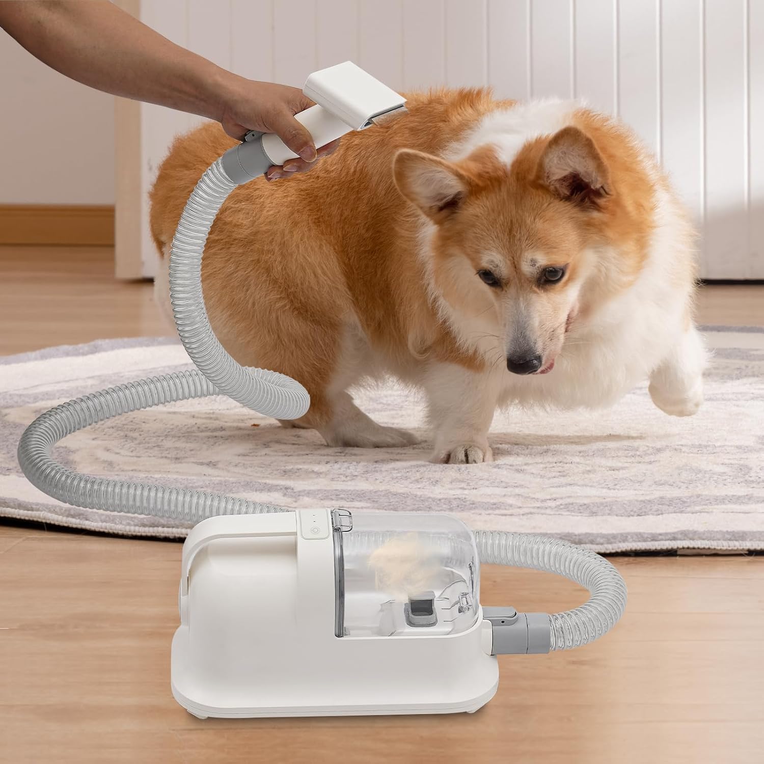 Pet Hair Removal Vacuum Kit 11800Pa 3 In 1 Low Noise