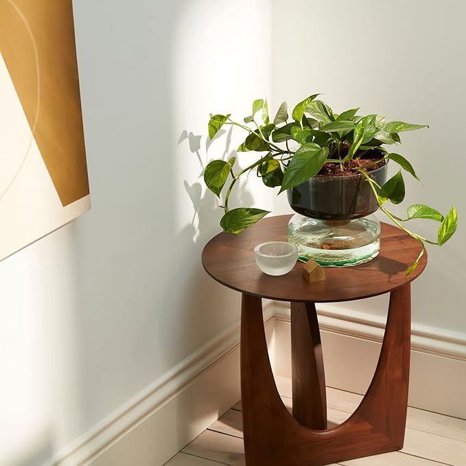 Self Watering Glass Planter 13cm Indoor Plant Pot Cork Lid