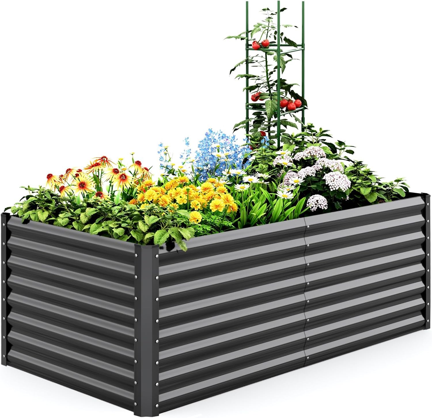 Large Galvanized Raised Garden Bed 180x90cm with Tomato Cages