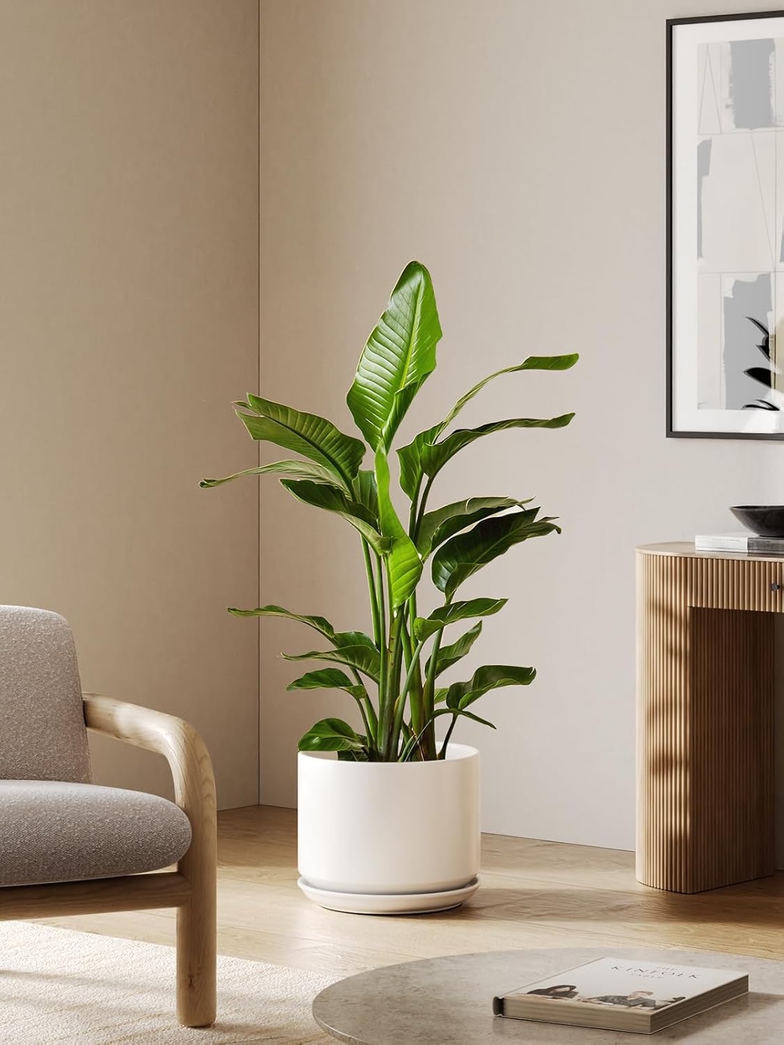 30cm Large Ceramic Plant Pot White with Saucer Drainage