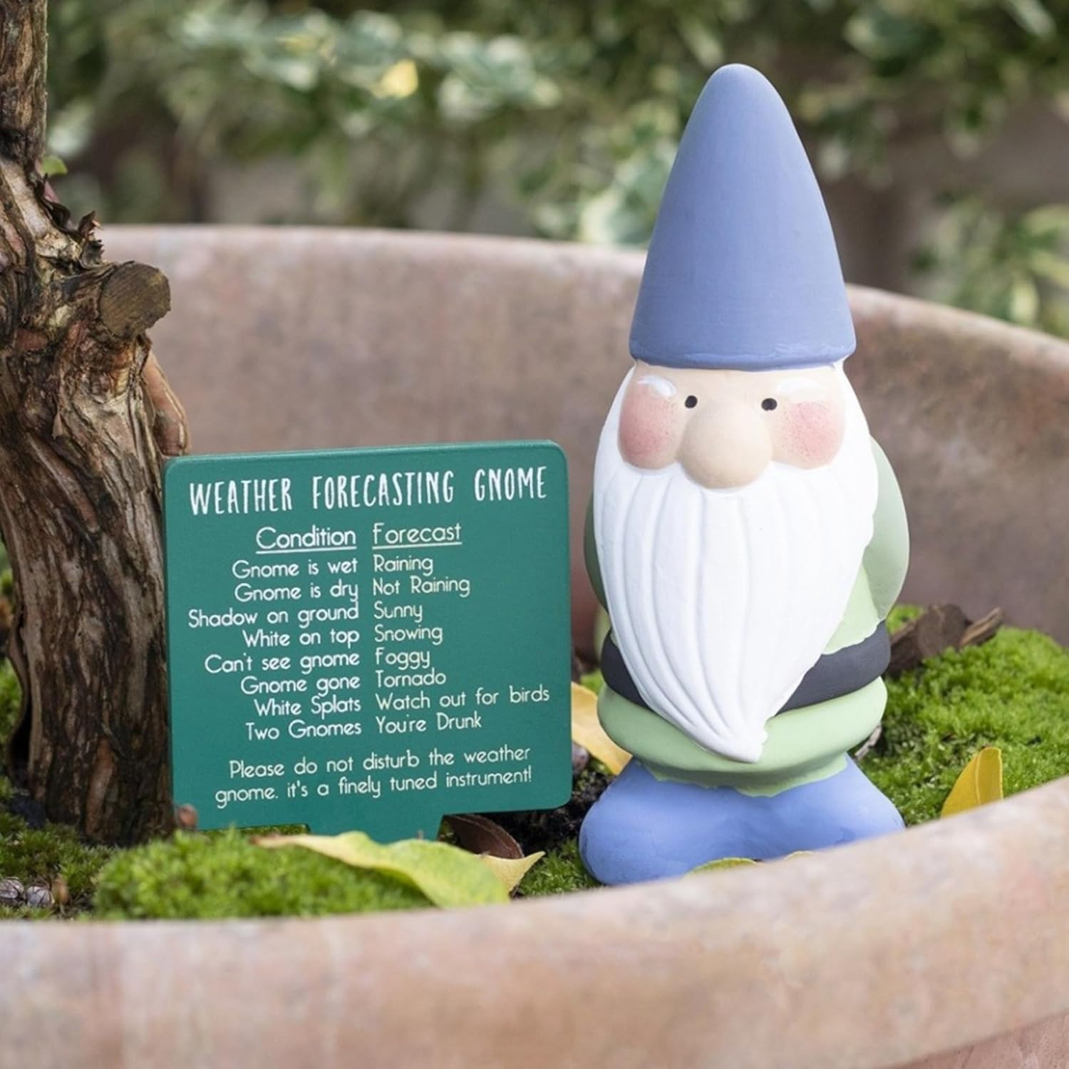 Weather Forecast Gnome 25cm Garden Ornament Funny Outdoor