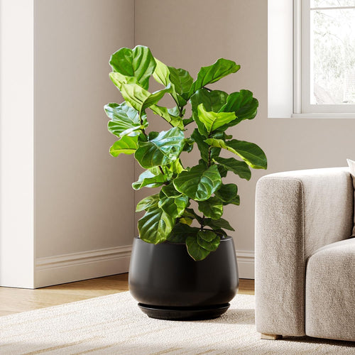 30cm Black Ceramic Plant Pot Large Planter with Drainage Saucer