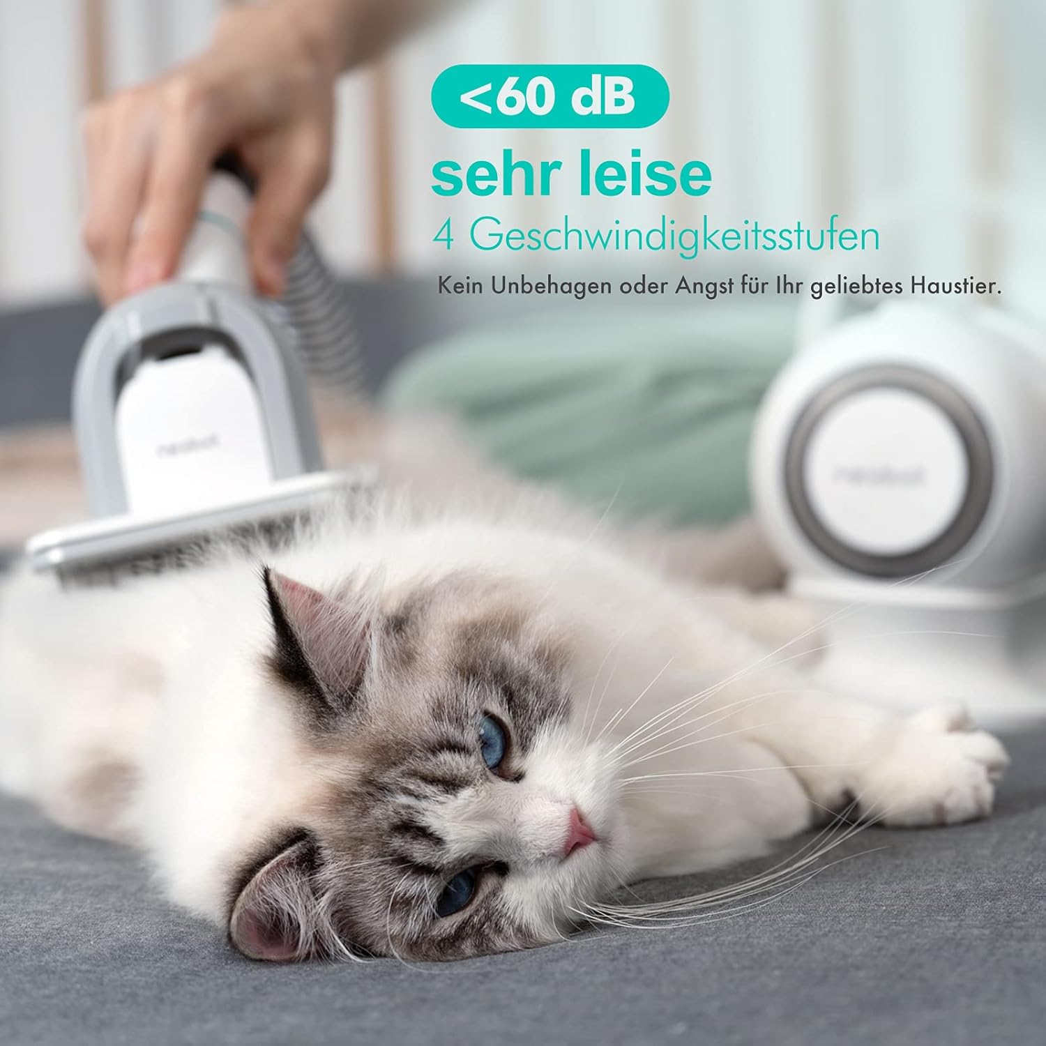 Dog Cat Grooming Vacuum 13000Pa 5 Tool Clippers Brush