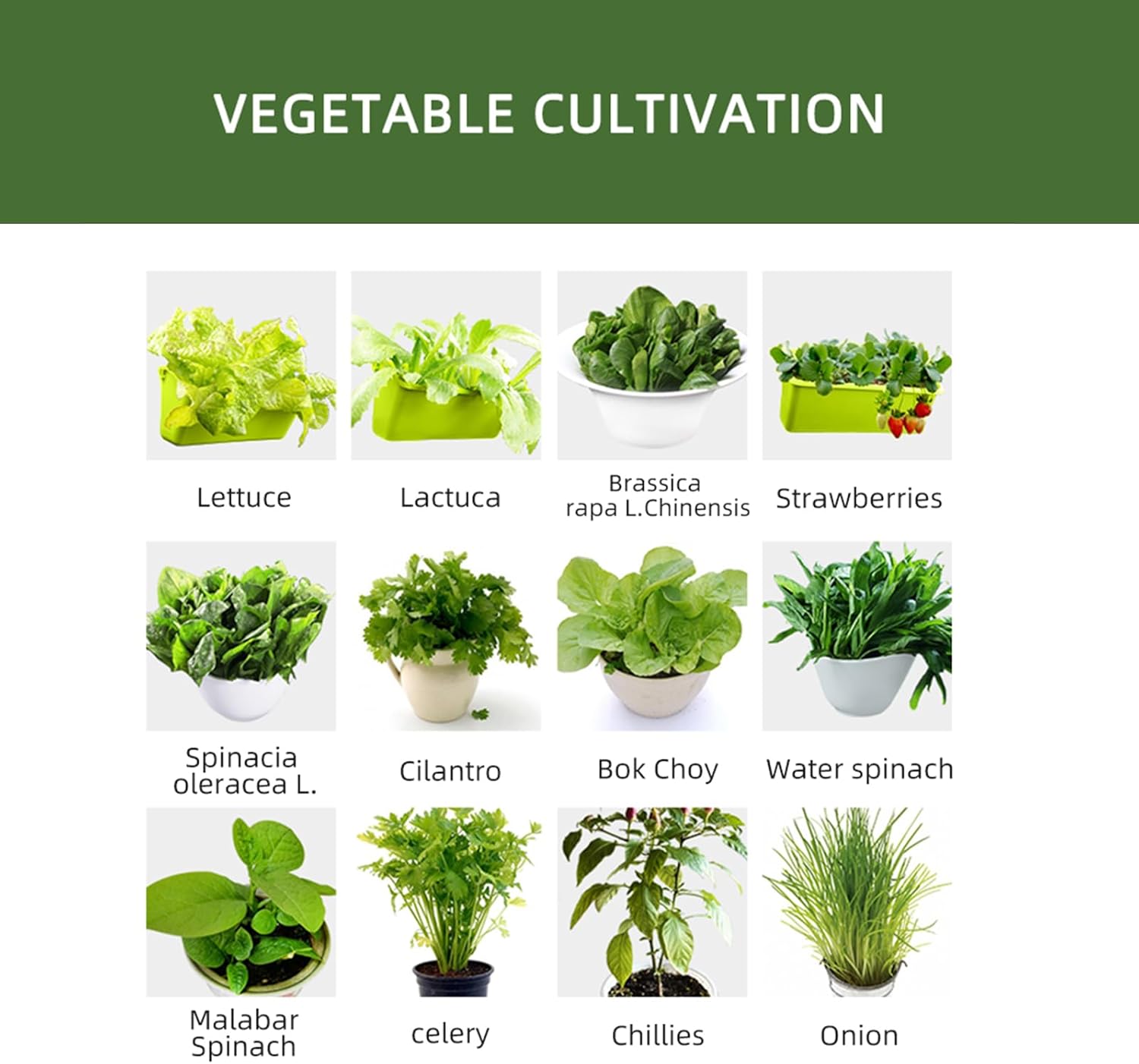 Vertical Hanging Planter Bags 8 Pack Self Watering Wall Garden
