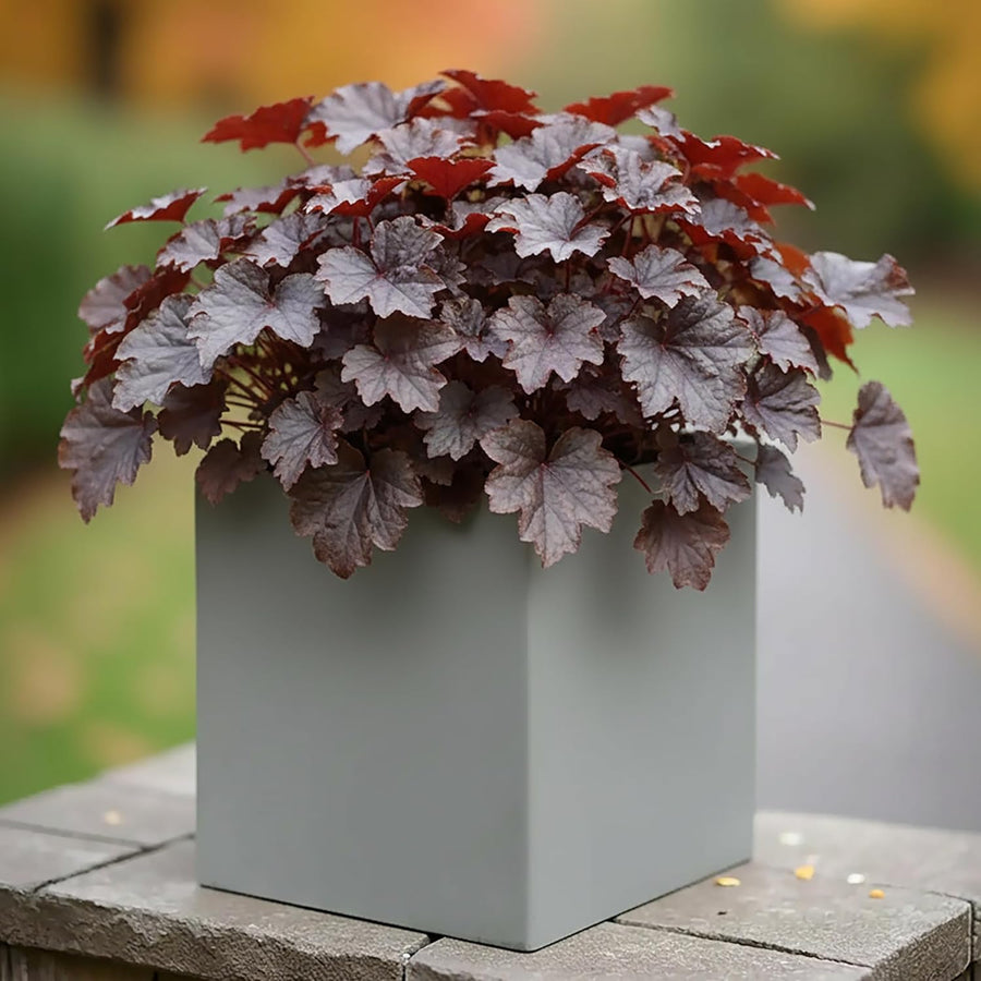 25cm Grey Square Planter Stone Effect Small Garden Pot Drainage