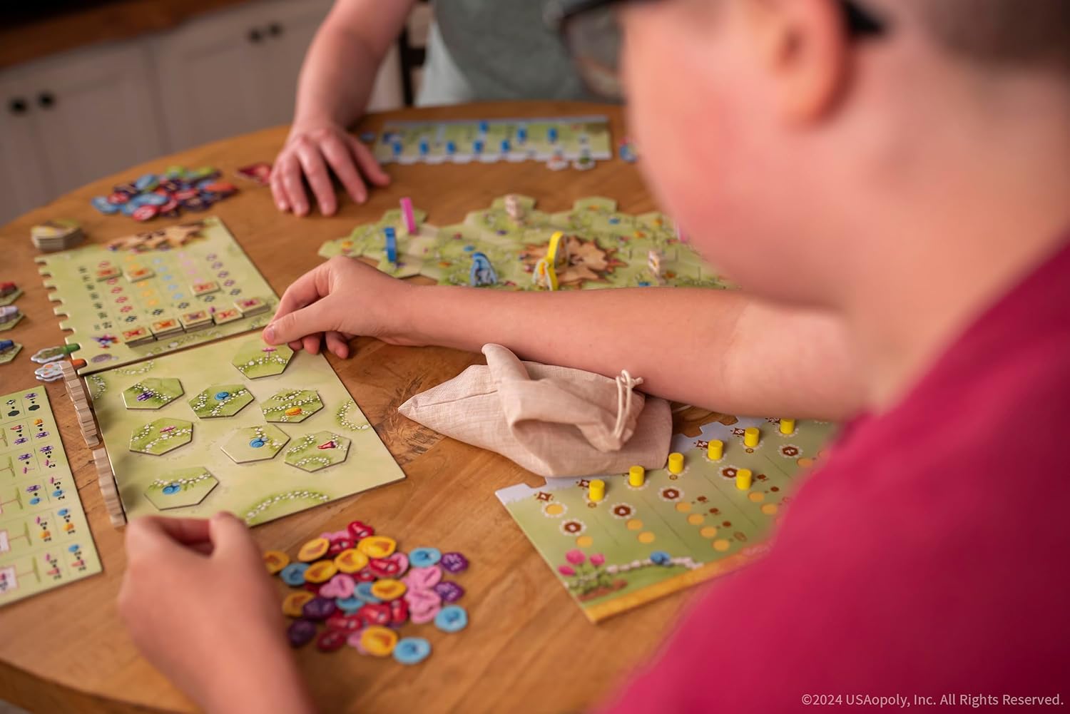 Strategy Board Game Fantasy Family Game 2-4 Players Ages 12+