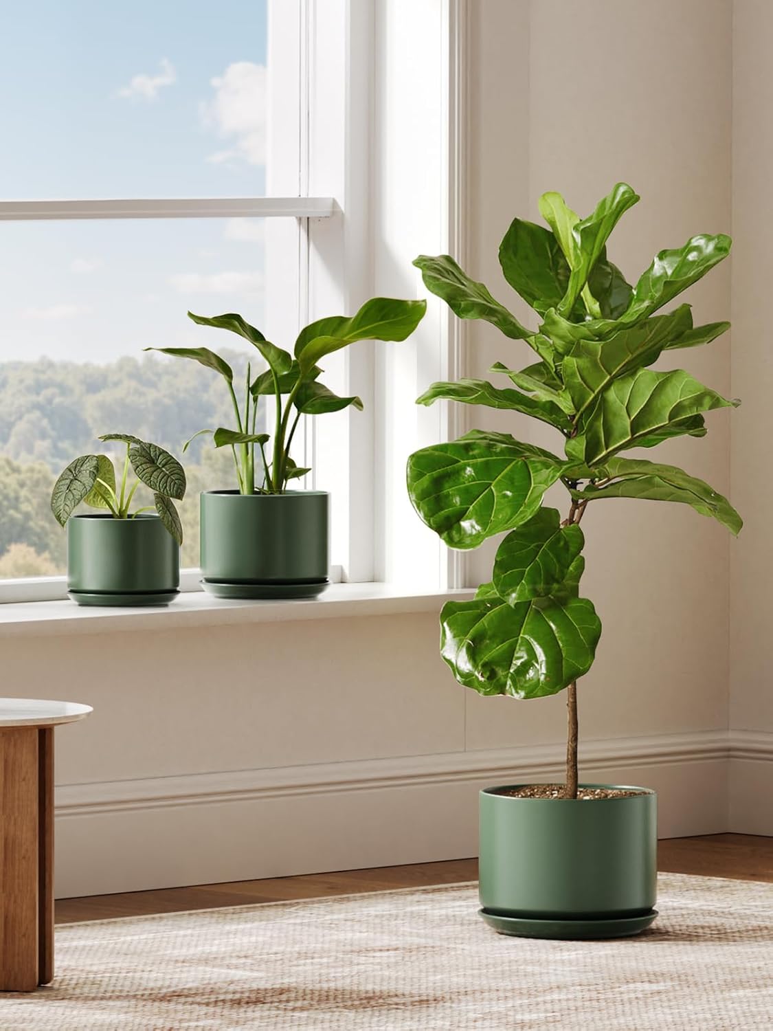 25cm Modern Green Ceramic Plant Pot with Saucer