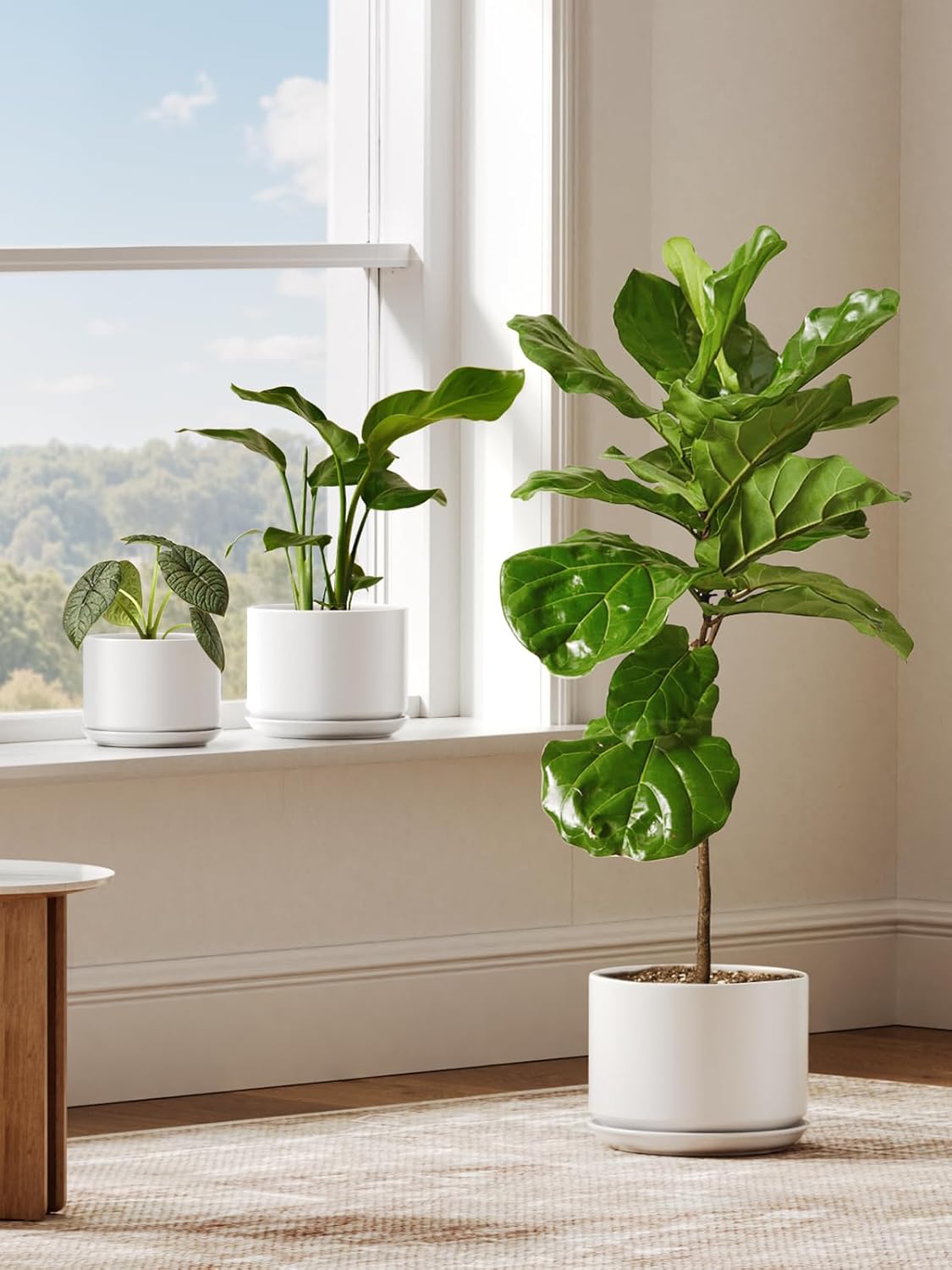 25cm Large White Ceramic Plant Pot with Saucer Modern