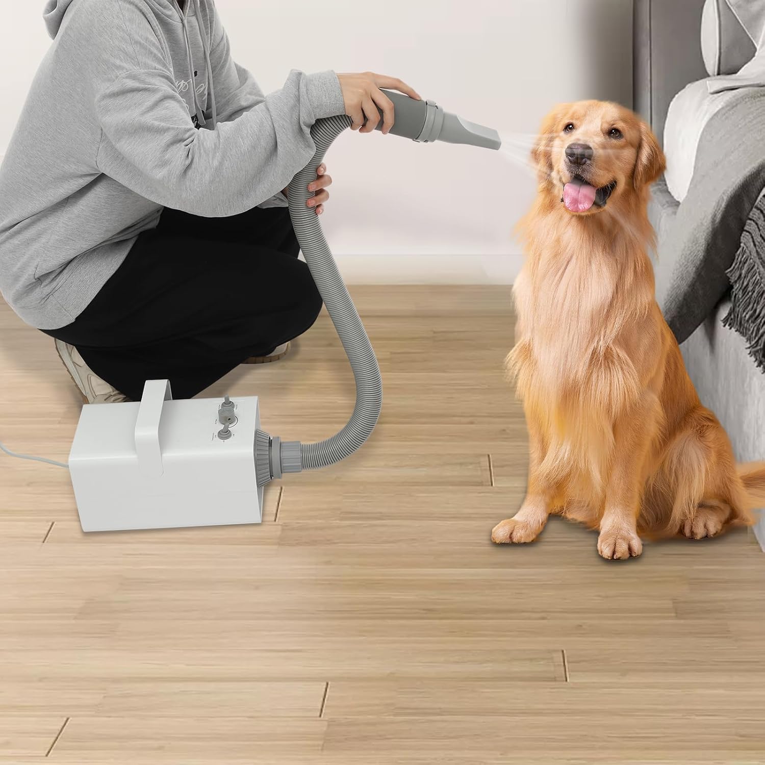 Pet Grooming Vacuum Kit 2800W Low Noise 57dB 4 Nozzle