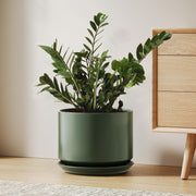 25cm Modern Green Ceramic Plant Pot with Saucer