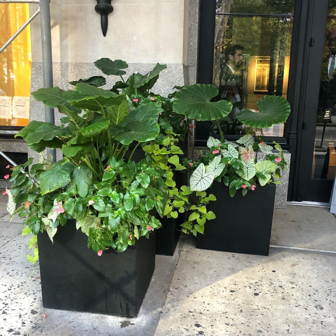 50cm Large Square Planter Black Stone Effect Tree Pot Drainage