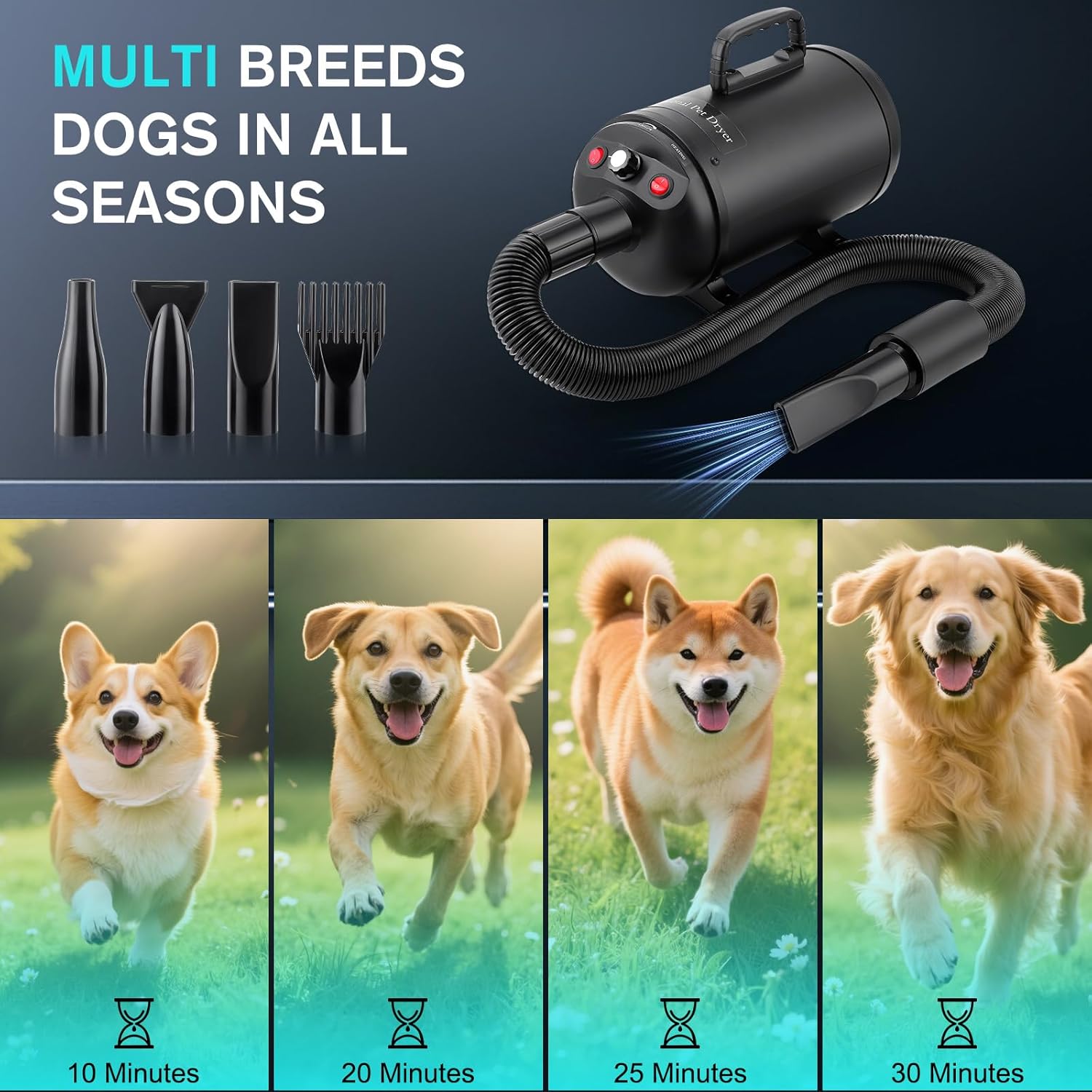 Dog Hair Dryer 3800W 5.2HP Low Noise 4 Nozzle Black