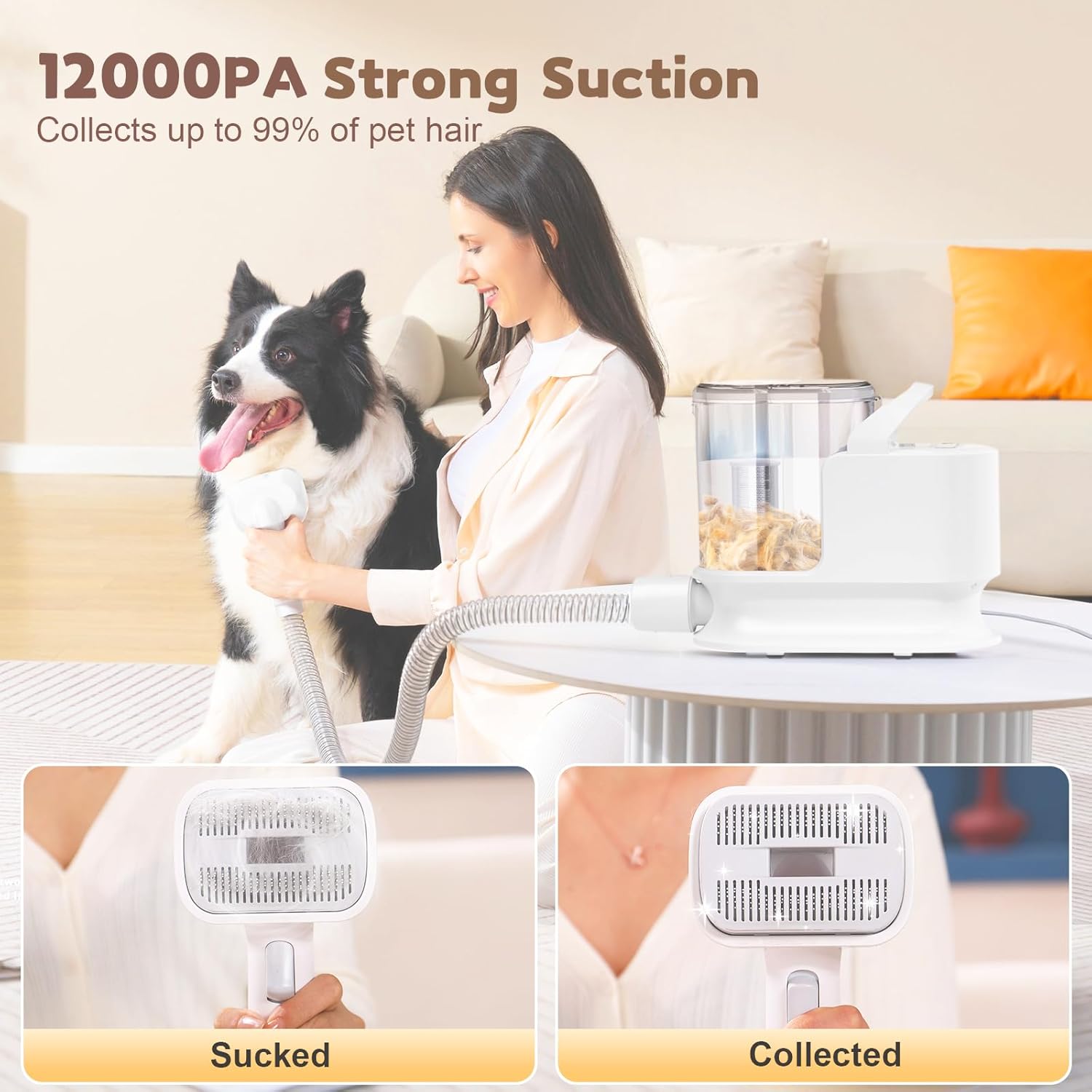 Dog Grooming Vacuum Kit 12KPa 2L Low Noise 5 Tool White