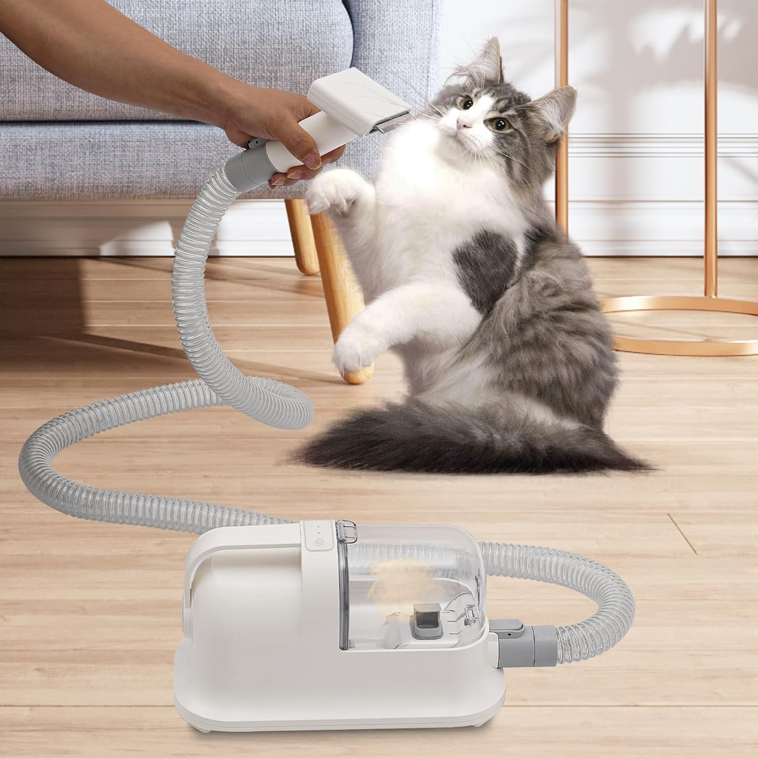 Pet Hair Removal Vacuum Kit 11800Pa 3 In 1 Low Noise