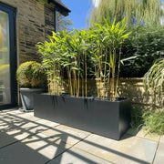 Extra Large Metal Trough Planter Matte Black Rustproof 120x40x40cm