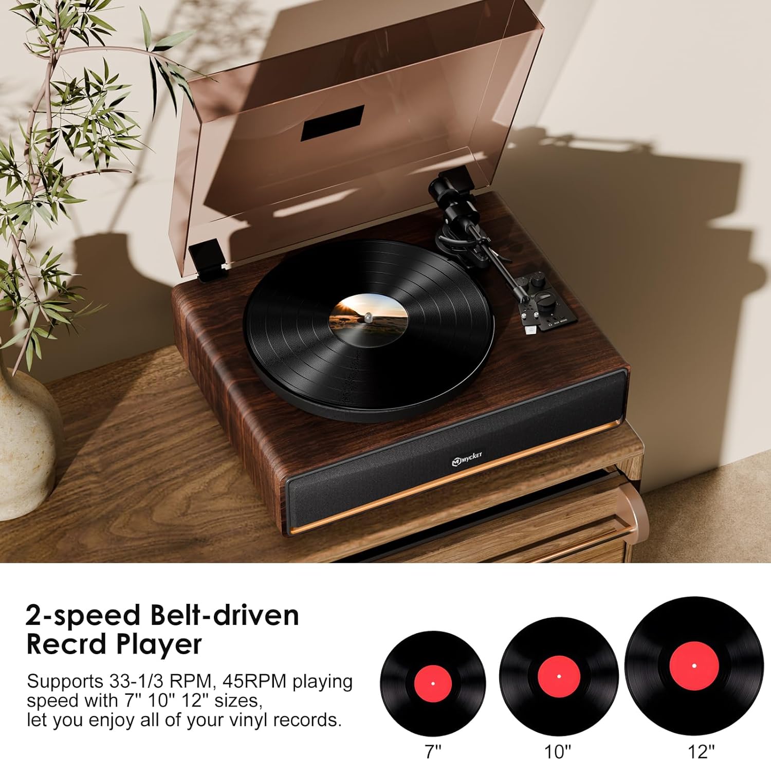Bluetooth Vinyl Record Player Turntable with Speakers