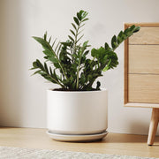 25cm Large White Ceramic Plant Pot with Saucer Modern