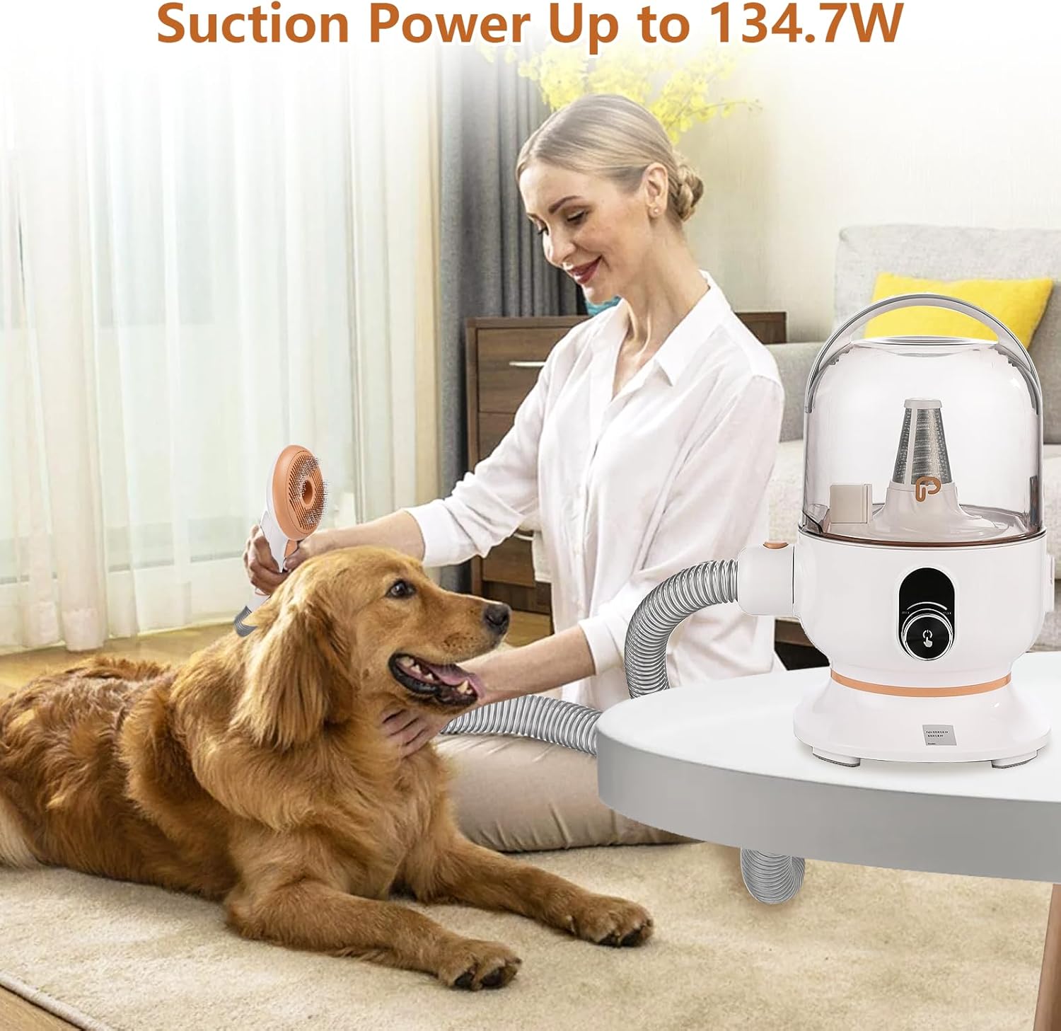 Pet Hair Grooming Vacuum 11KPa 5 in 1 Clipper Kit 2L Low Noise