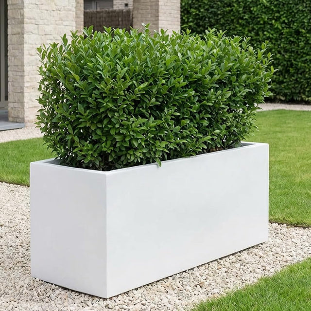 100cm Large Trough Planter White Stone Effect Outdoor Garden Pot