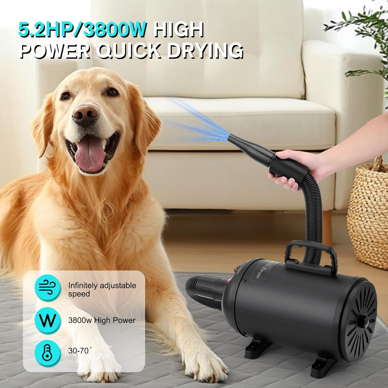 Dog Hair Dryer 3800W 5.2HP Low Noise 4 Nozzle Black