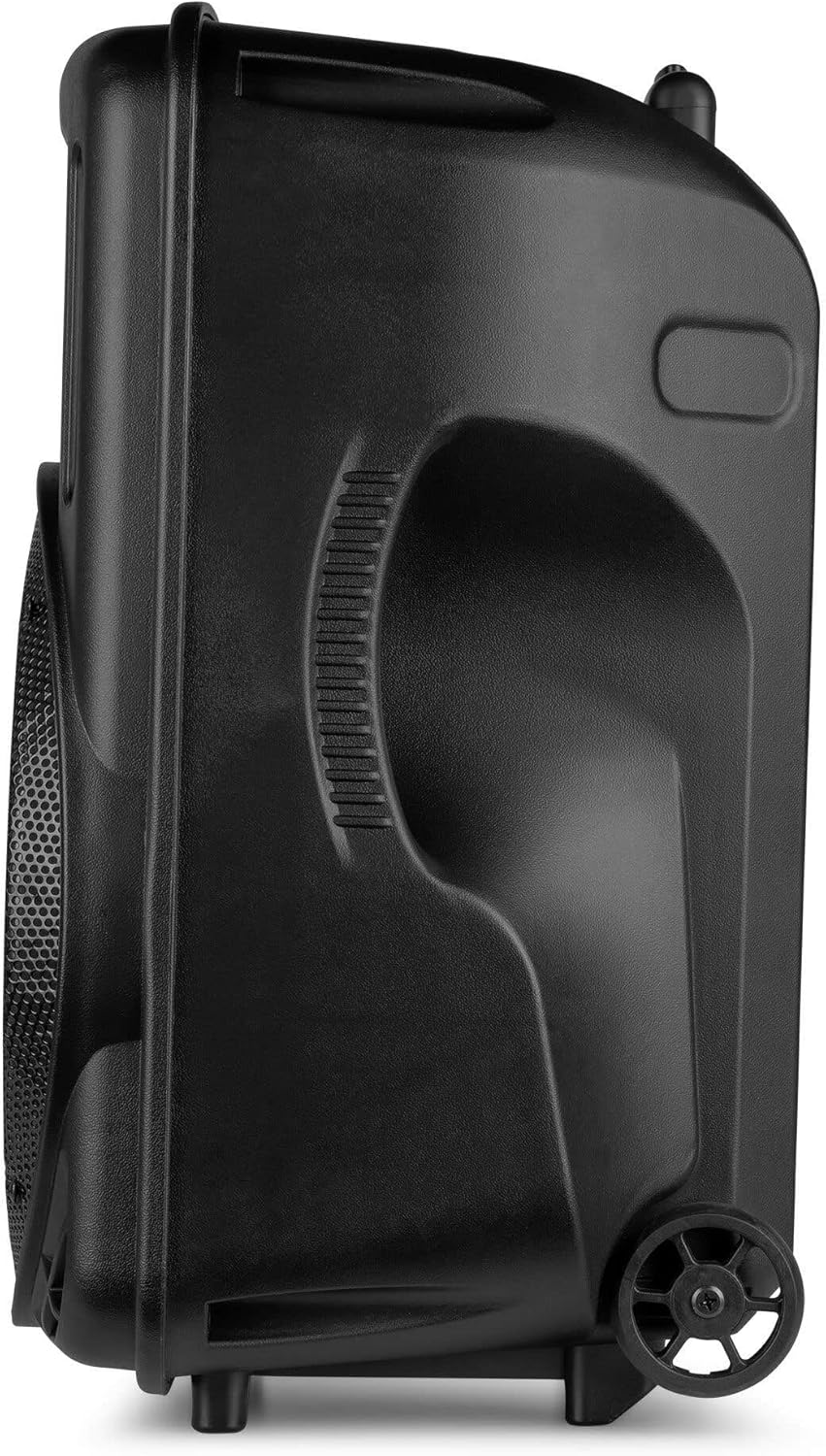 Portable PA Speaker 700W 12 Inch Bluetooth LED Wireless Mic