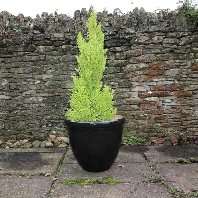 Extra Large Gloss Plant Pot 49cm Black Indoor Outdoor Planter