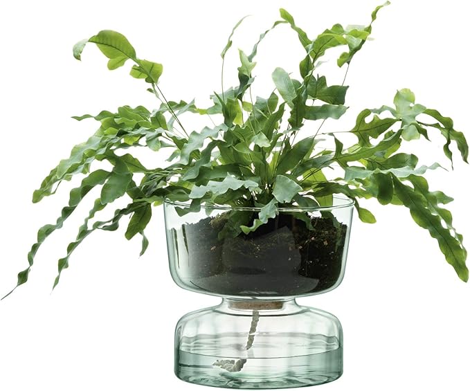 Self Watering Glass Planter 22cm Indoor Plant Pot Cork Lid