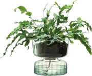 Self Watering Glass Planter 13cm Indoor Plant Pot Cork Lid