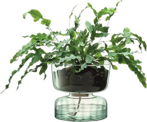 Self Watering Glass Planter 13cm Indoor Plant Pot Cork Lid