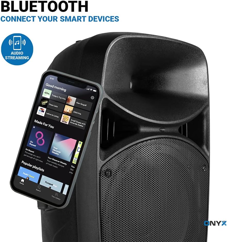 15in PA Speaker System 1000W Bluetooth DJ Karaoke Set