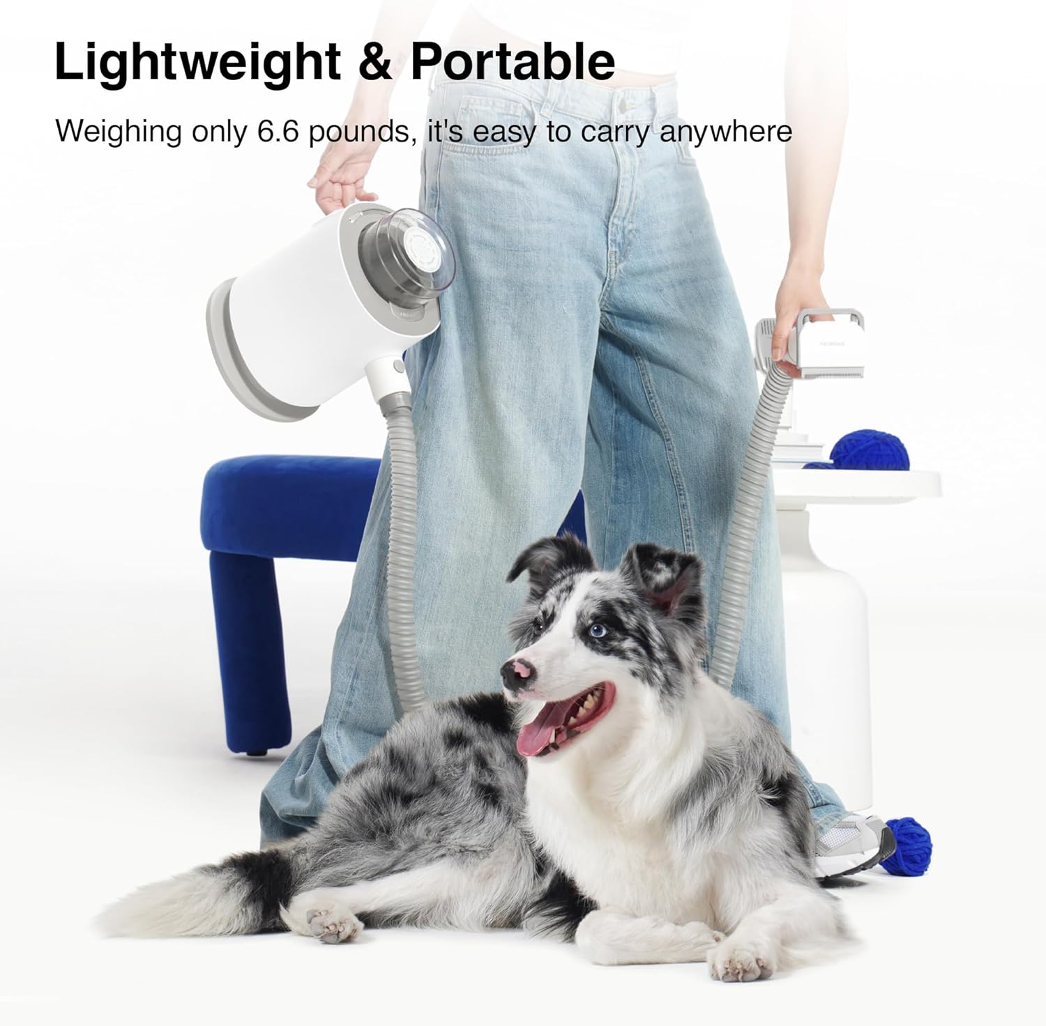 Pet Grooming Vacuum Kit 12000Pa Dog Cat Hair Remover