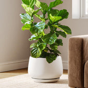 30cm White Ceramic Plant Pot Large Planter with Drainage Saucer