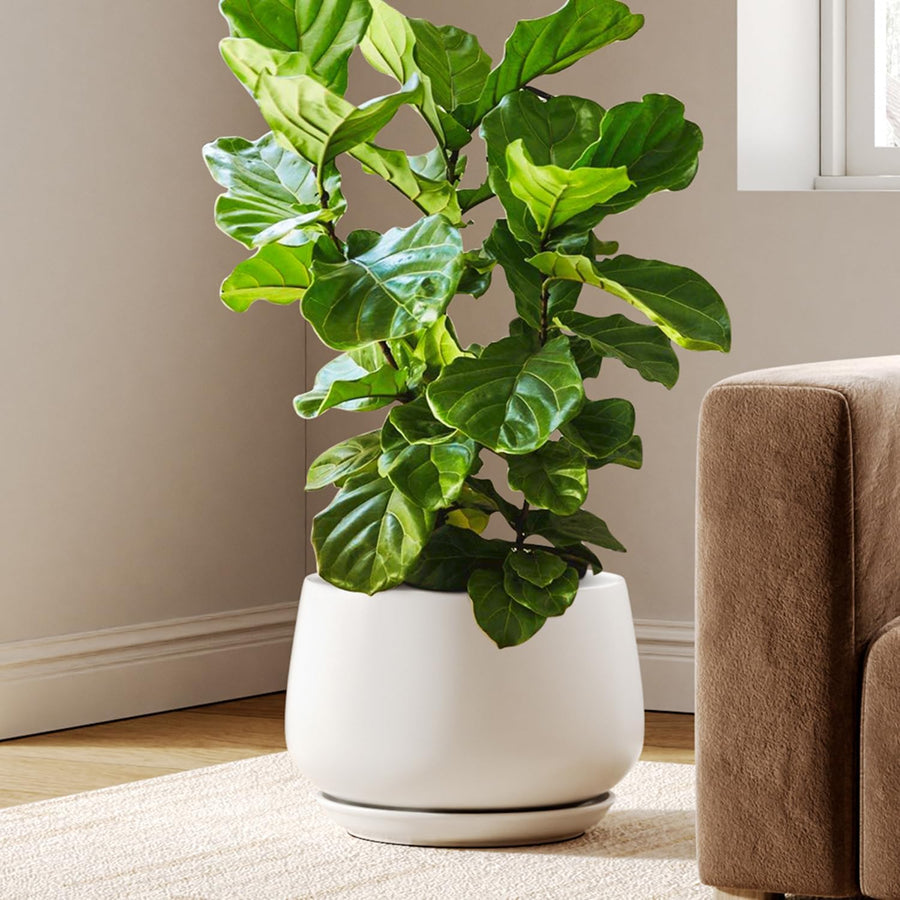 30cm White Ceramic Plant Pot Large Planter with Drainage Saucer