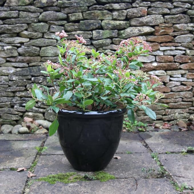 Extra Large Gloss Plant Pot 49cm Black Indoor Outdoor Planter