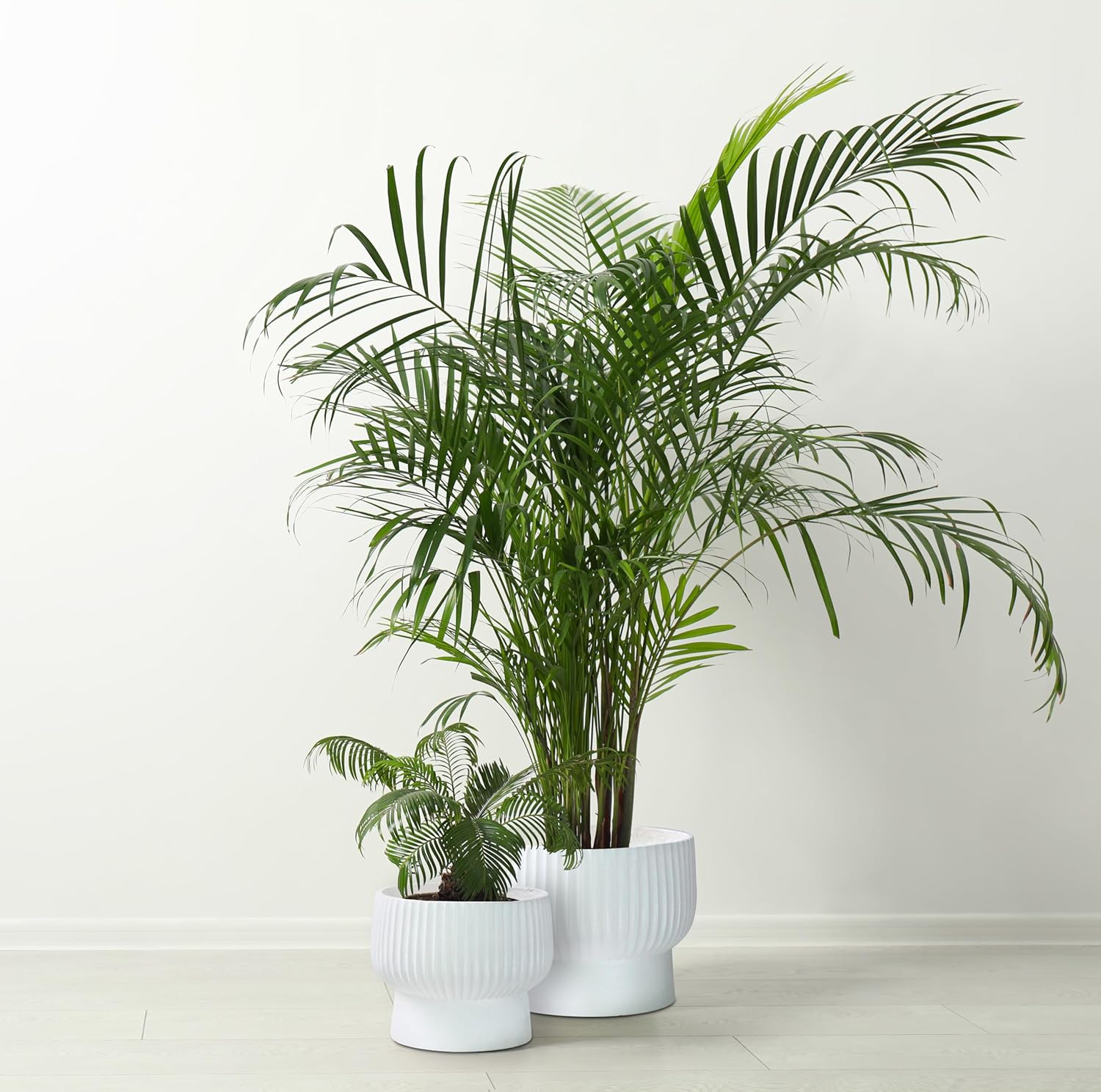 White Raised Planter Bowl Set 2 Fibrestone Pots 35cm 30cm