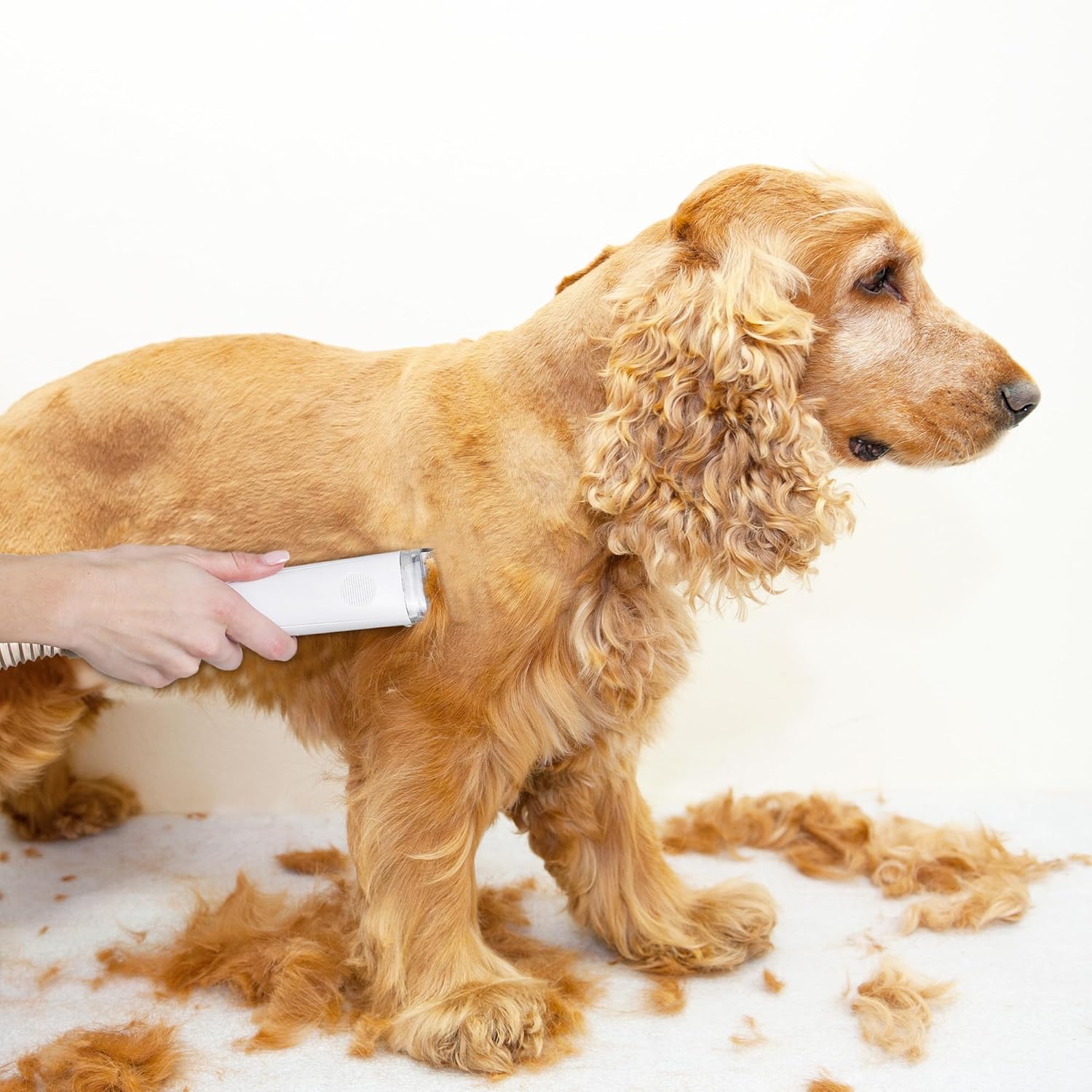 Pet Grooming Vacuum Clipper Kit 5 Brush Heads 1.2L White