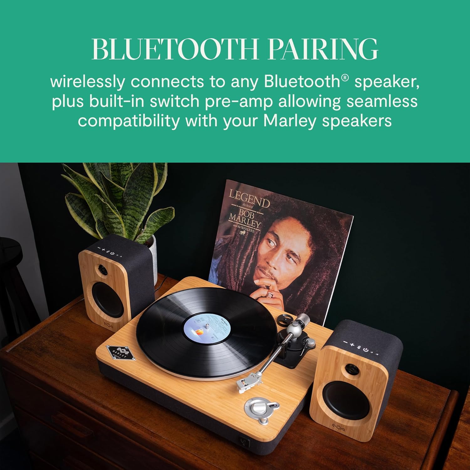 Bluetooth Bamboo Vinyl Turntable with Preamp 2 Speed