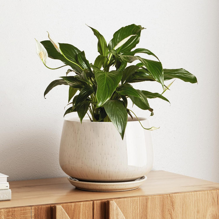 25cm Ceramic Plant Pot Beige Modern Planter with Drainage Saucer