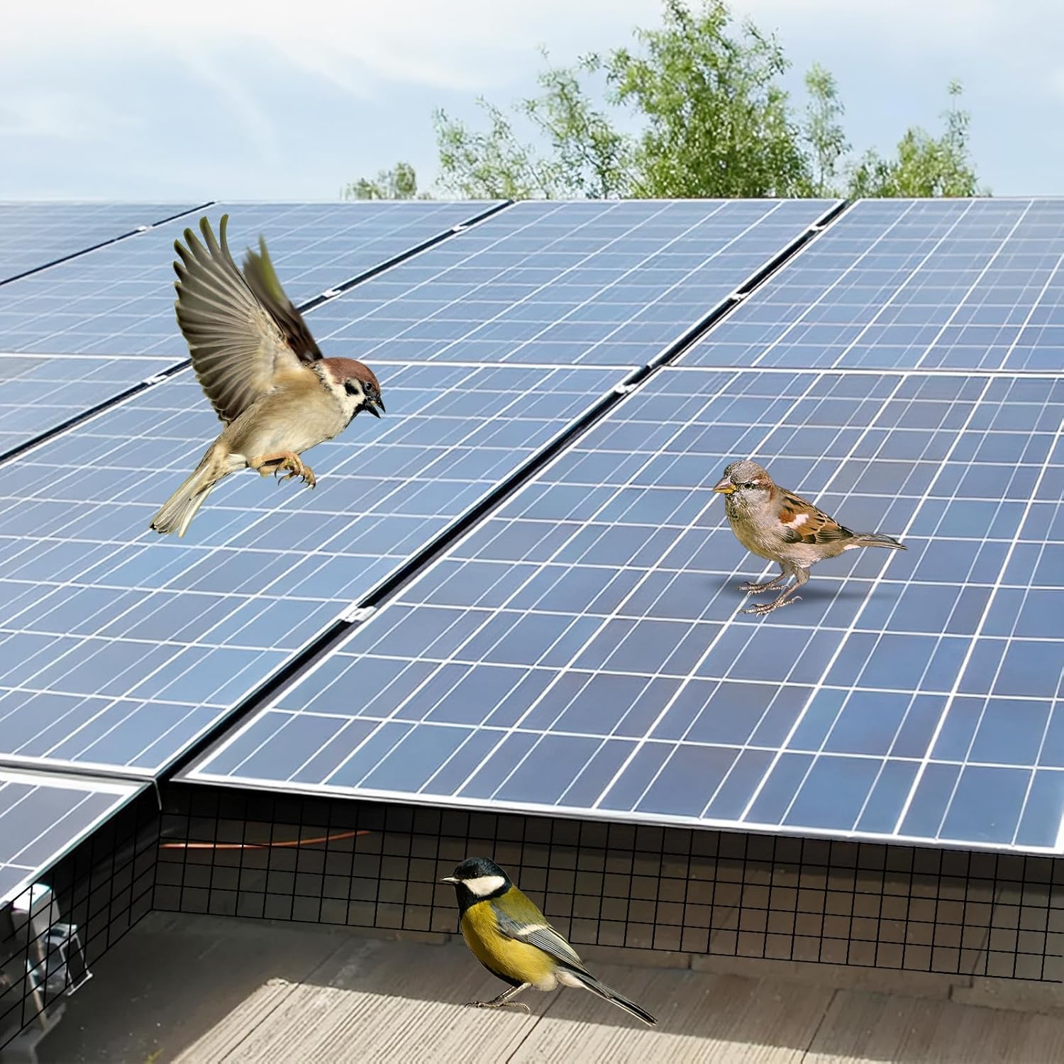 20CM x 30M Solar Panel Bird Mesh Proofing Kit Black