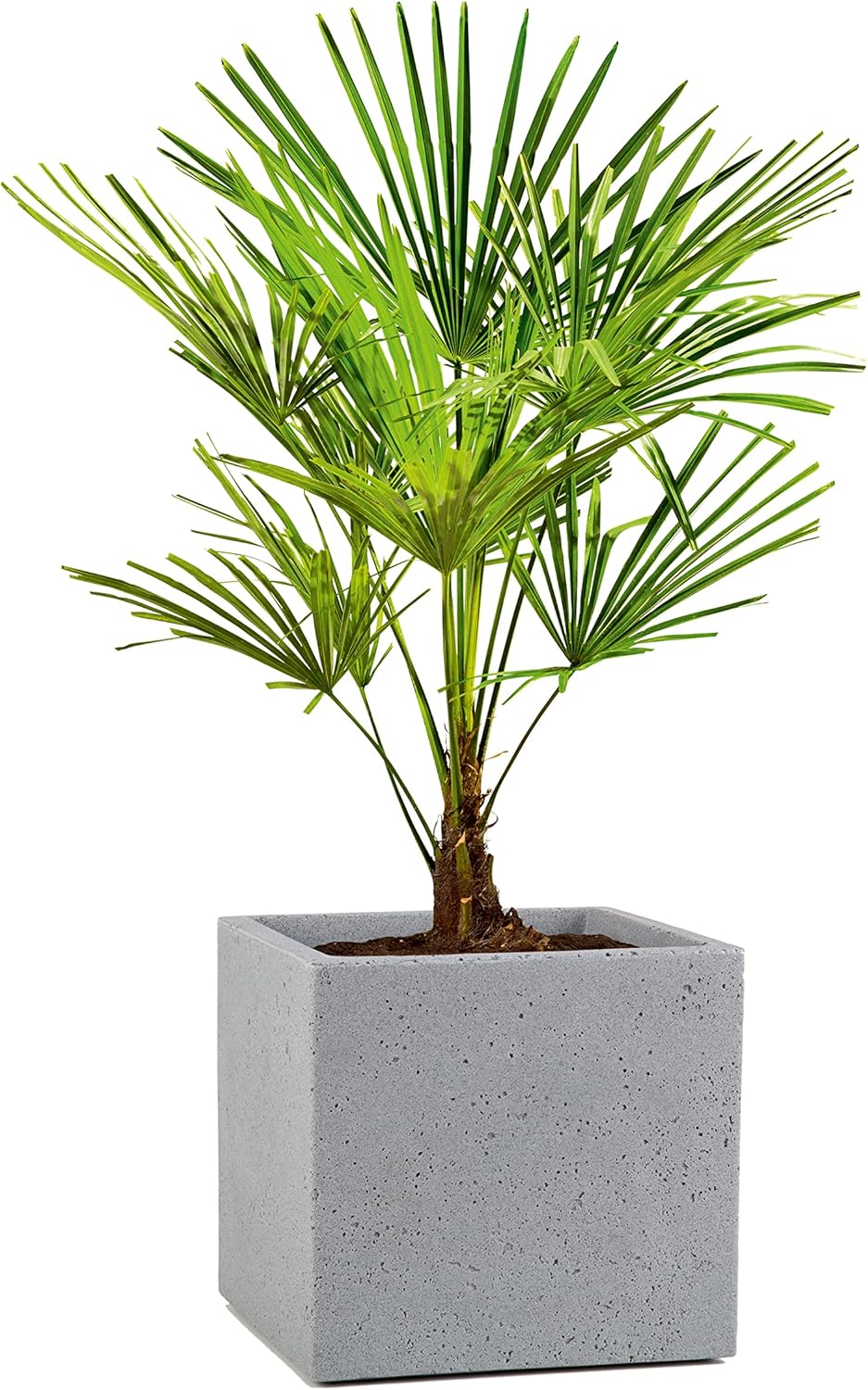 38cm Plant Pot Stony Grey Concrete Effect Indoor Outdoor
