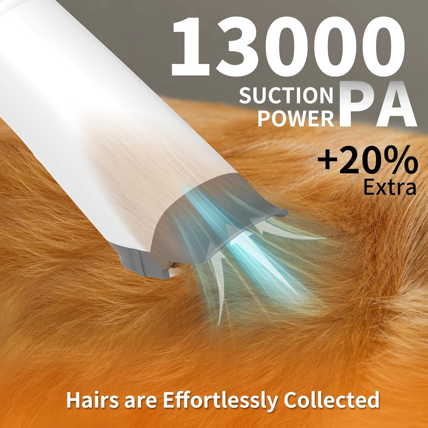 Dog Grooming Vacuum Kit 13000Pa 1.5L Clipper 5 Tools