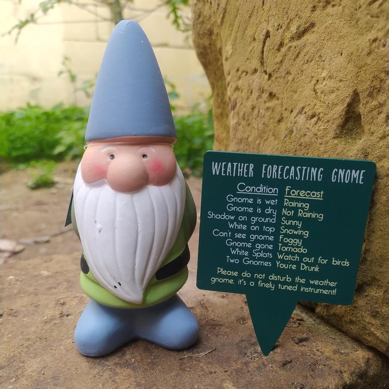 Weather Forecast Gnome 25cm Garden Ornament Funny Outdoor