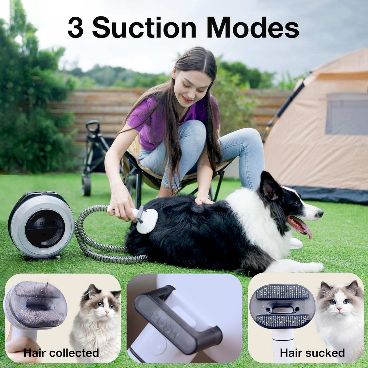 Cordless Pet Grooming Vacuum Kit 13000Pa 7 Tool 2.2L