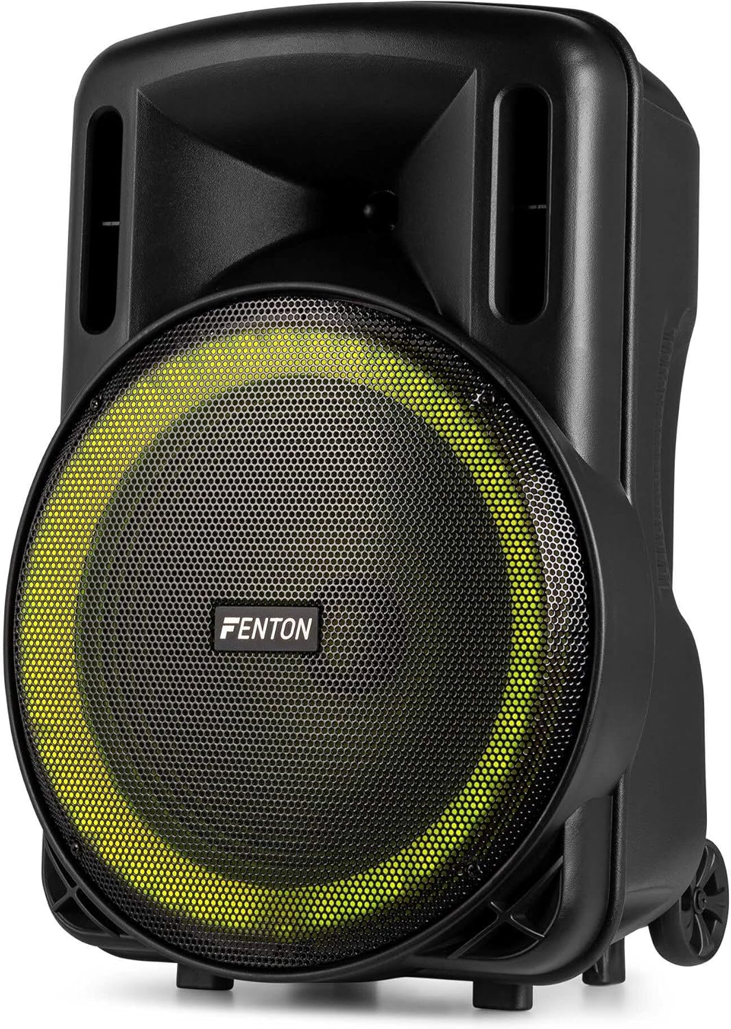 Portable PA Speaker 800W 15 Inch Bluetooth Karaoke Mic