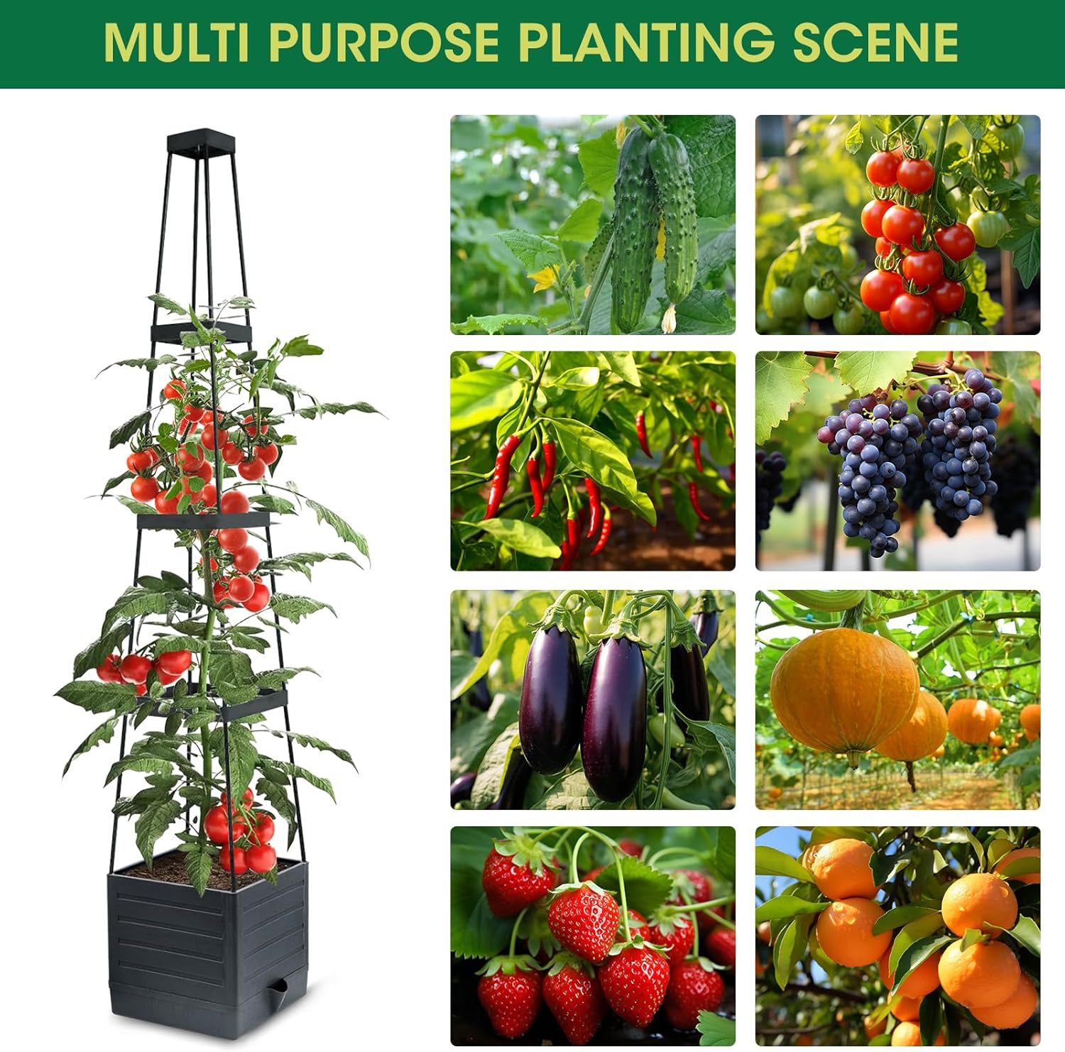 2 Pack Raised Garden Bed Planter with Trellis Self Watering Black