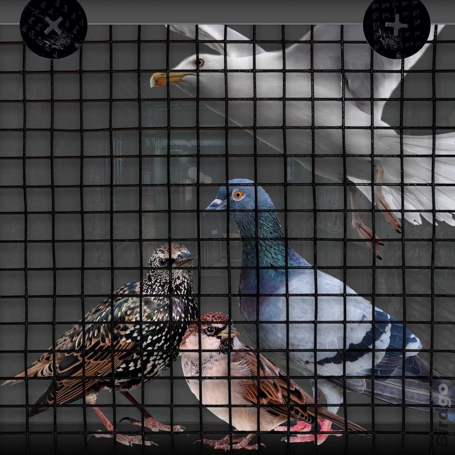 30M Black PVC Solar Panel Bird Proof Mesh Pigeon Barrier