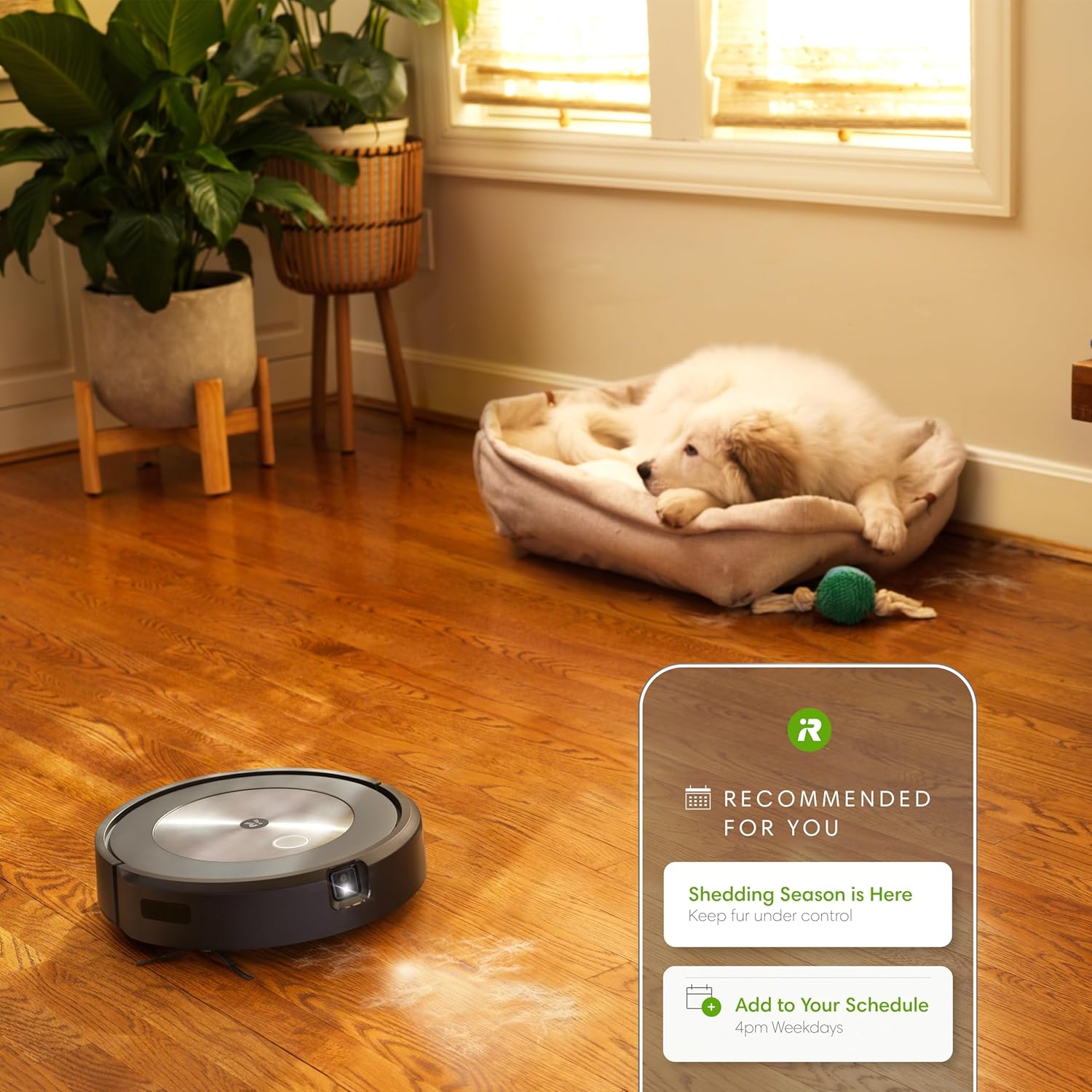 Robot Vacuum Smart Mapping WiFi Pet Hair Auto Clean Obstacle Avoid