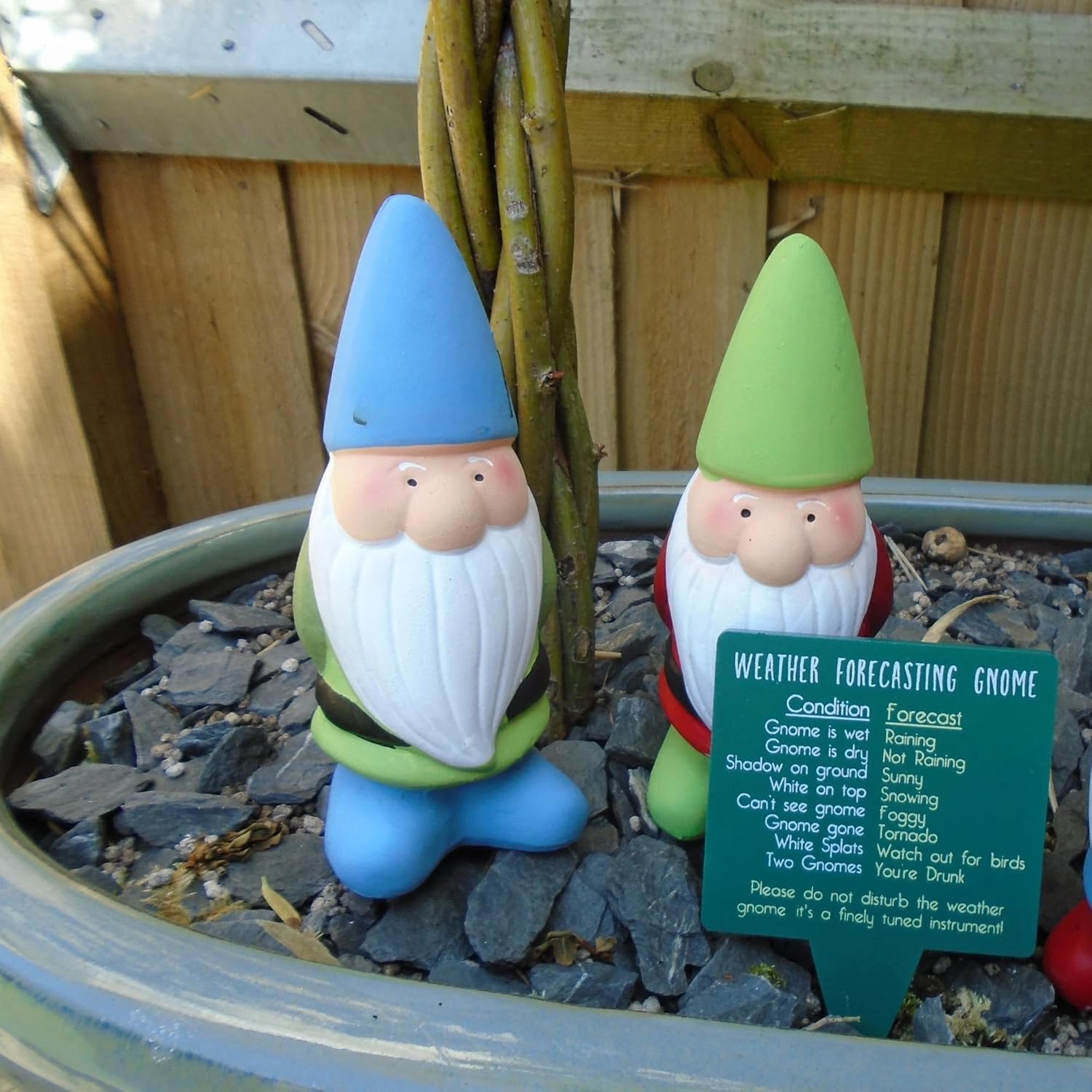 Weather Forecast Gnome 25cm Garden Ornament Funny Outdoor
