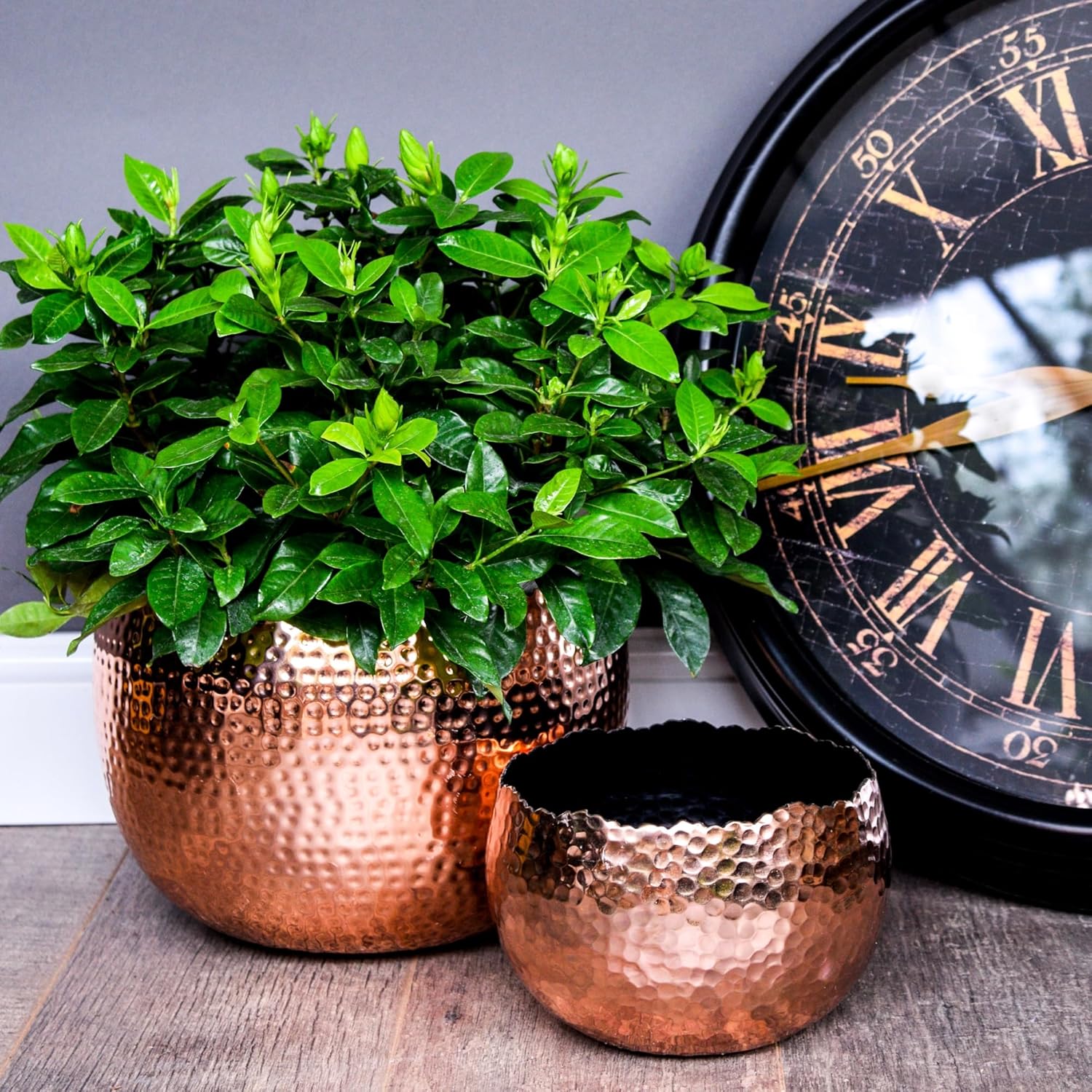 Hammered Copper Planter Bowl 30cm Indoor Metal Plant Pot