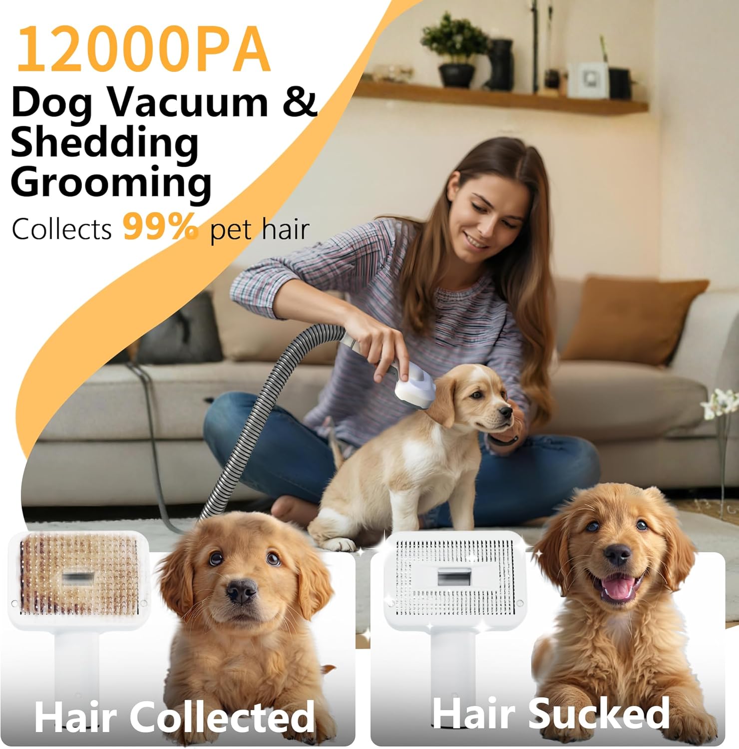 Dog Grooming Vacuum 12000Pa 5 in 1 Low Noise 1.5L Kit